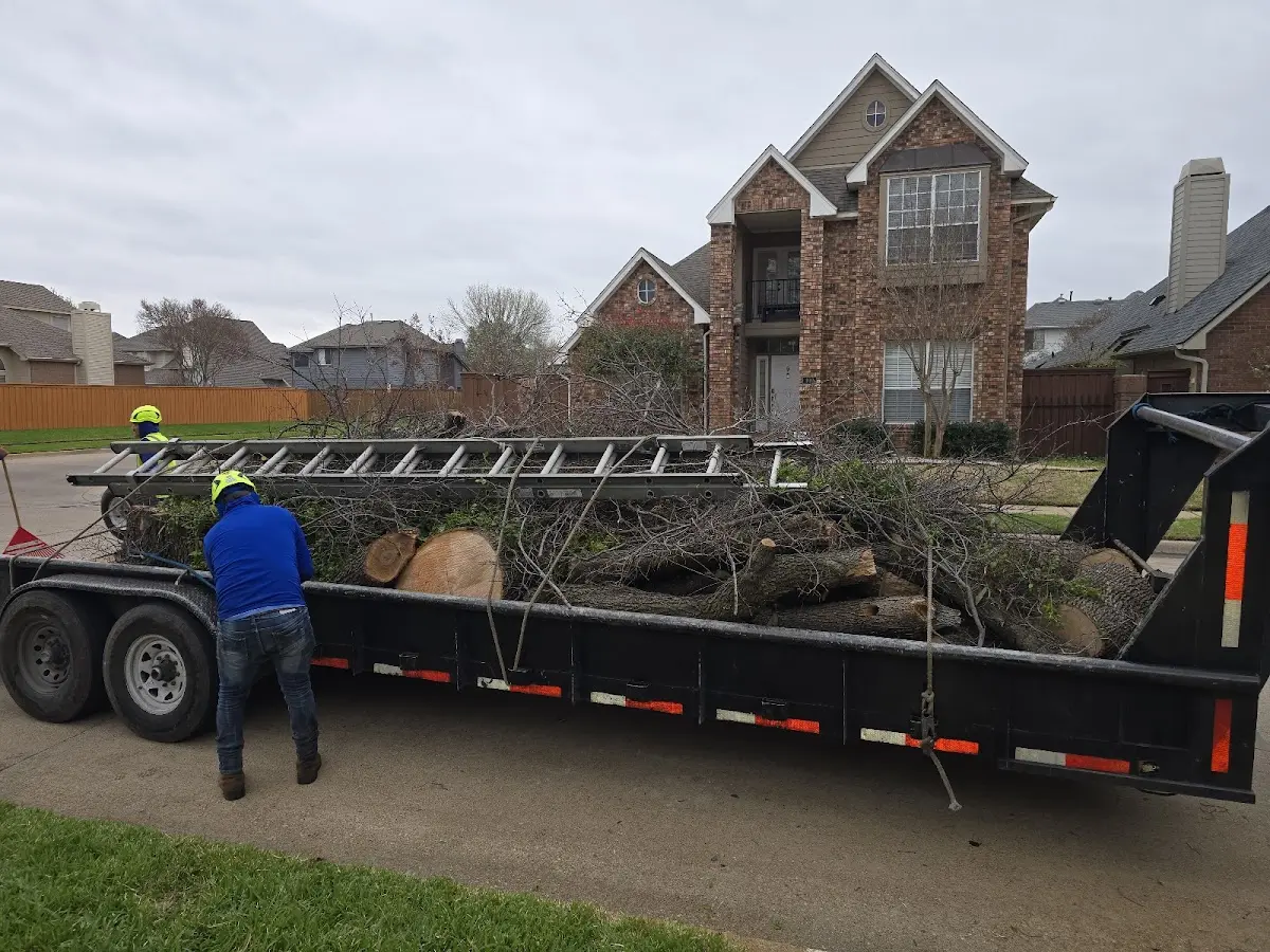 Expert Tree Removal with proper safety equipment in Herron